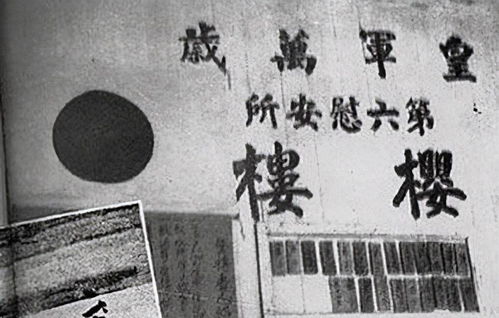  揭秘日本三分钟，文化、历史与现代生活的交织 --第1张