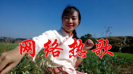 酒醉的蝴蝶的原味演绎--第1张