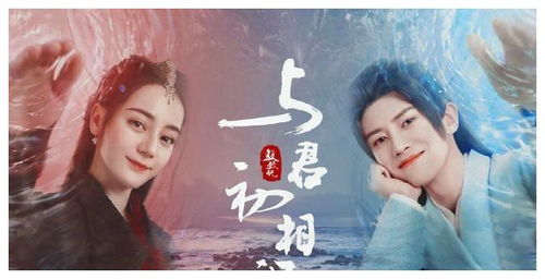 与君初相识电视剧免费观看完整版，星辰播放--第1张