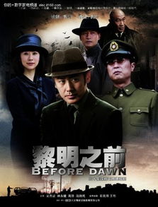 军统地下党谍战剧大全，绝杀--第1张