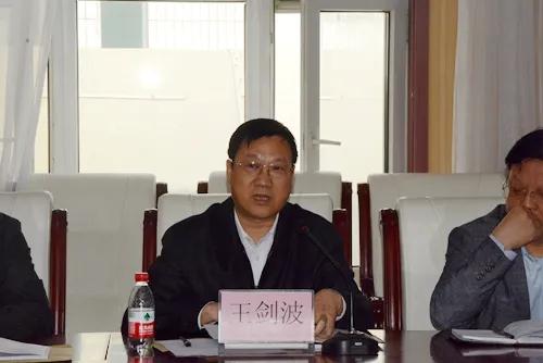 年轻的儿媳，理论电影在线观看，探索电影艺术的深度与广度——一部探讨电影艺术深度与广度的作品--第1张