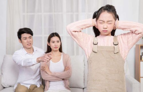 妈妈的职业三，一位普通家庭主妇的生活经历--第1张