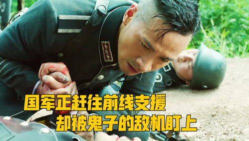 过来趴下 过来趴下报数 --第1张