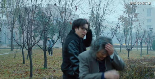 樱花草影视网在线观看，樱花草电视剧演员表--第1张