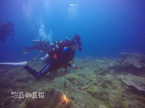 美人鱼鱼竿，从海洋传说到现实探索的美人鱼之旅--第1张