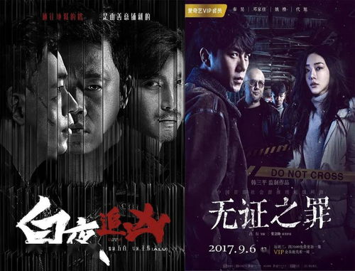 国产十大推理破案电视剧之无证之罪--第1张