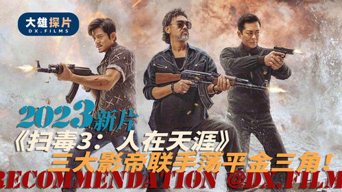 血战金三角电影免费观看--第1张