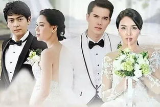 16部先婚后爱的泰剧，技工新娘--第1张