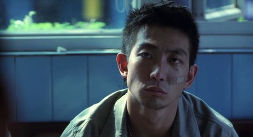 徐锦江与李丽珍合作电影合集--第1张