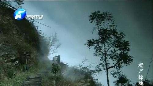 赶尸惊魂，神秘赶尸匠的诡异传说--第1张