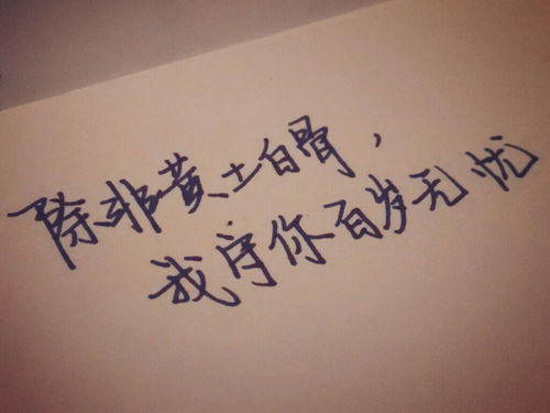 深情告白，你是我生命中的光--第1张