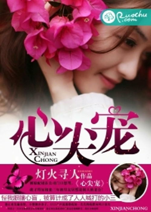 心尖宠TXT下载，作者时衿--第1张
