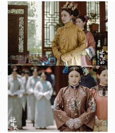 揭秘宫廷剧魅力，延禧攻略免费观看完整版在线播放--第1张