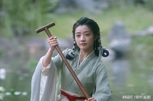 与凤行电视剧大全免费版，免费观看电视剧大全--第1张